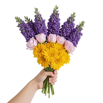 Petal Radiance Bliss