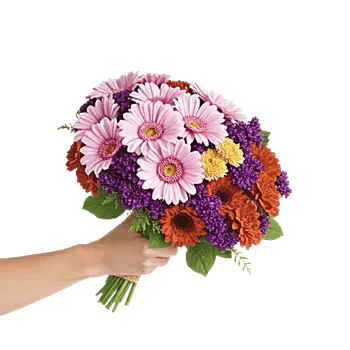 Blossom Petal Serenity