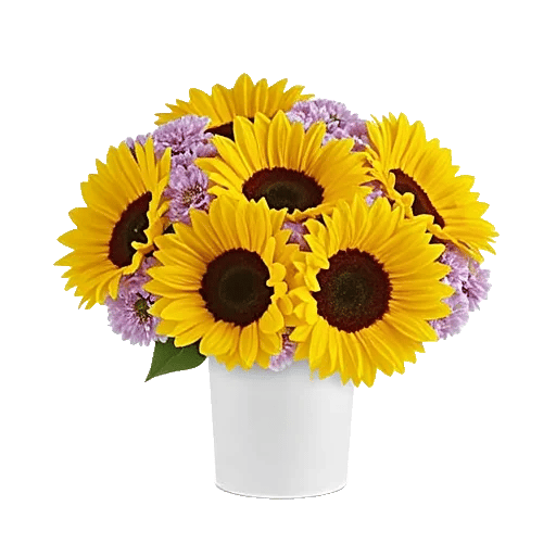 Radiant Bloom Cascade