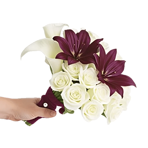Elegant Calla Lilies