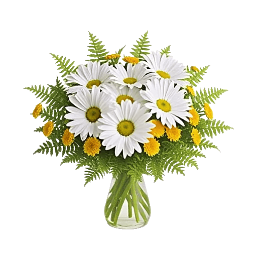 Enchanting Daisy Garden