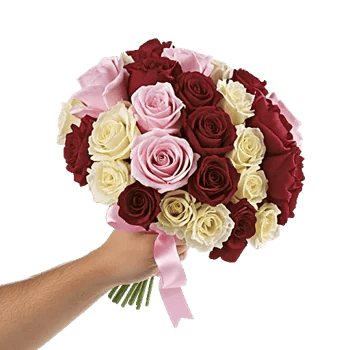 Peony Petal Harmony