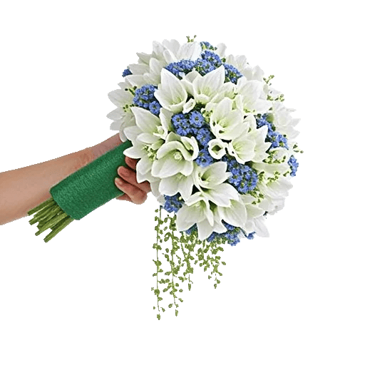 Delicate Petal Cascade