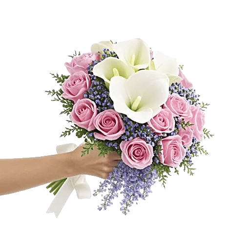 Ivory Garden Grace