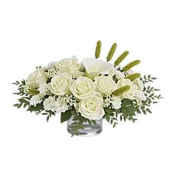 Delicate Petal Cascade