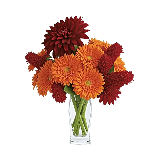 Crimson Blossom Harmony