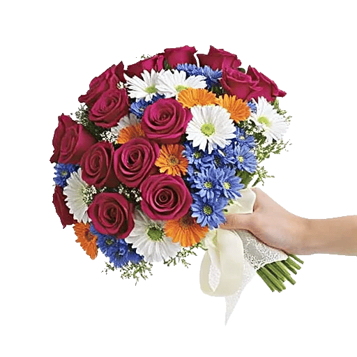 Blushing Rose Symphony