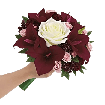 Blushing Rose Symphony