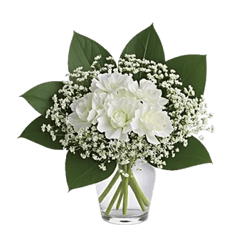 Delicate Petal Cascade