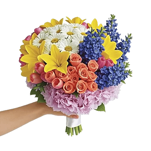 Blossom Petal Serenity