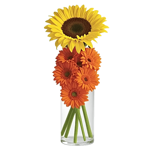 Radiant Bloom Cascade