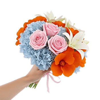 Blushing Rose Symphony