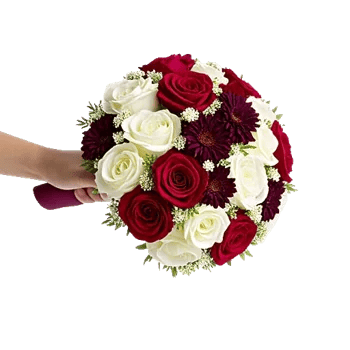 Blushing Rose Symphony