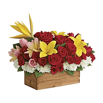 Blossom Harmony Display