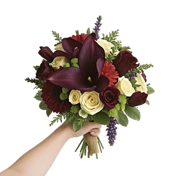 Elegant Calla Lilies