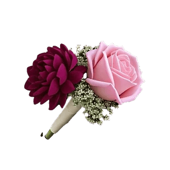 Plum Blossom Radiance