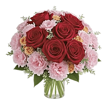 Crimson Rose Elegance