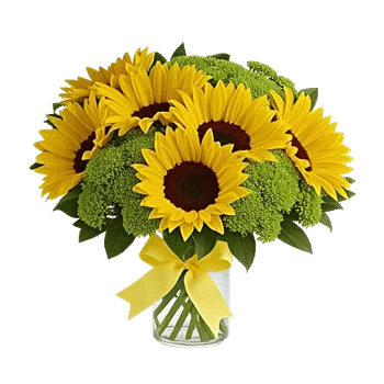 Bright Cheerful Sunflowers