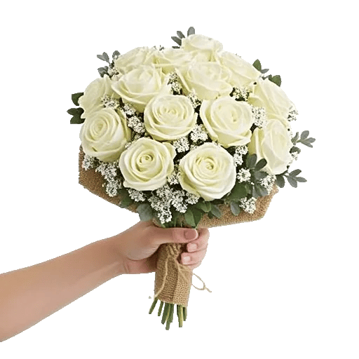 Ivory Garden Grace