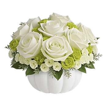 Modern White Orchids