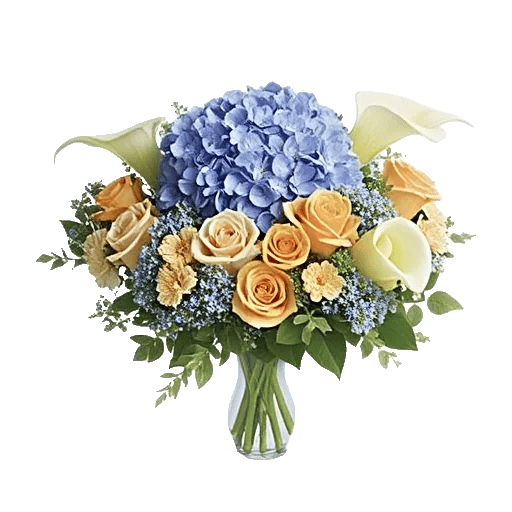 Sapphire Bloom Whisper