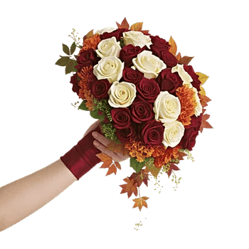 Ruby Petal Cascade
