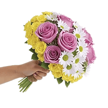 Delicate Petal Cascade