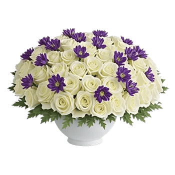 Blushing Rose Symphony