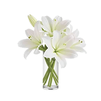 Graceful Lily Display