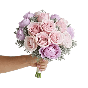 Pastel Pink Roses