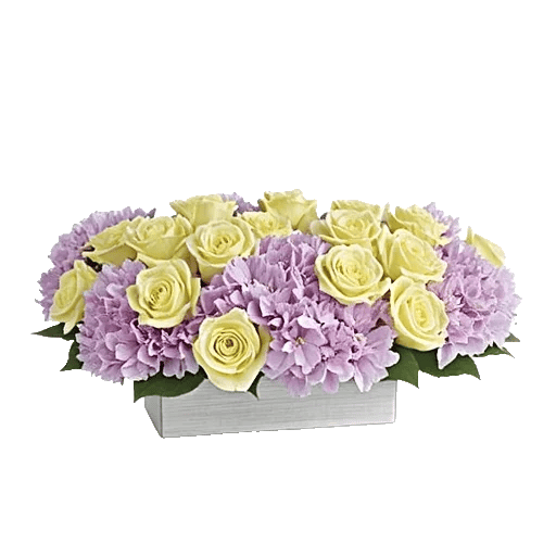 Delicate Petal Cascade