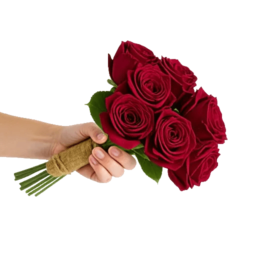 Crimson Rose Elegance