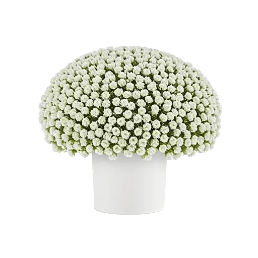 Blush Romantic Centerpiece