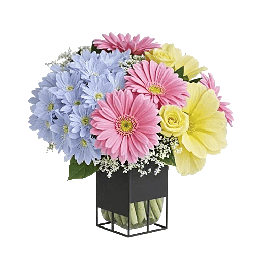 Petal Radiance Bliss