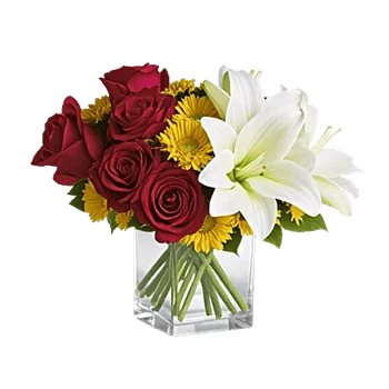 Crimson Blossom Harmony