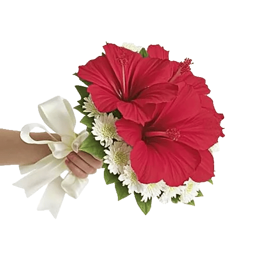 Crimson Rose Elegance