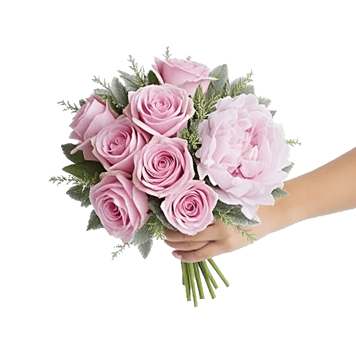 Pastel Pink Roses