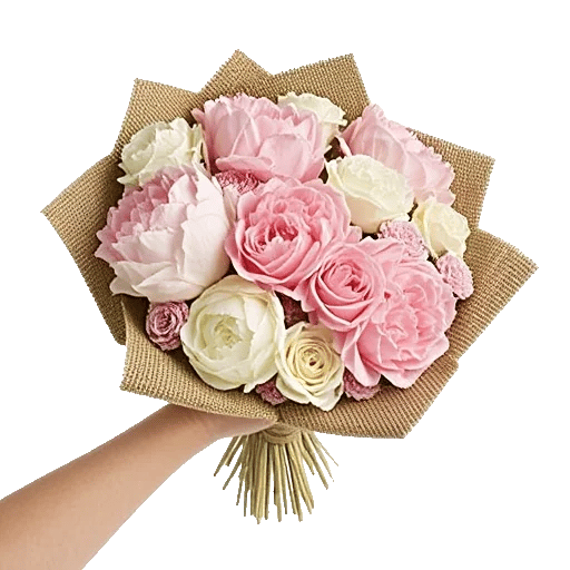 Pastel Pink Roses