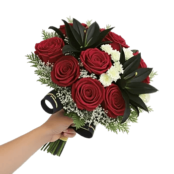 Crimson Rose Elegance
