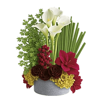Elegant Calla Lilies