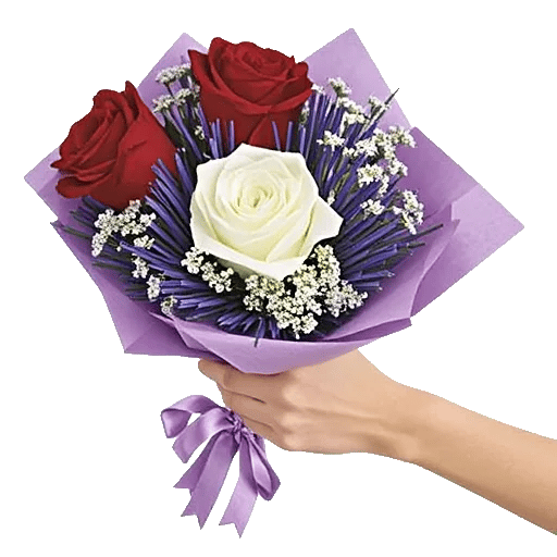 Crimson Rose Elegance