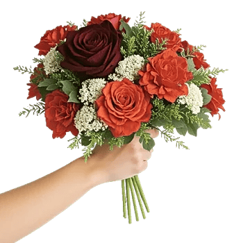 Crimson Rose Elegance