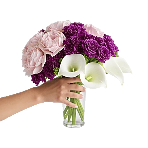 Peony Petal Harmony