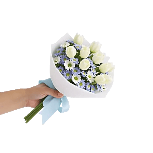 Blossom Petal Serenity