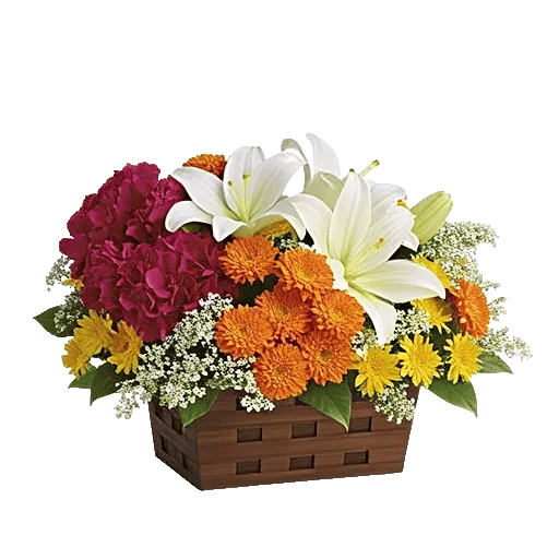 Petal Radiance Bliss