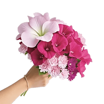 Pastel Pink Roses