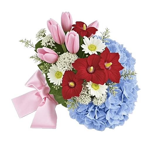 Blossom Harmony Display