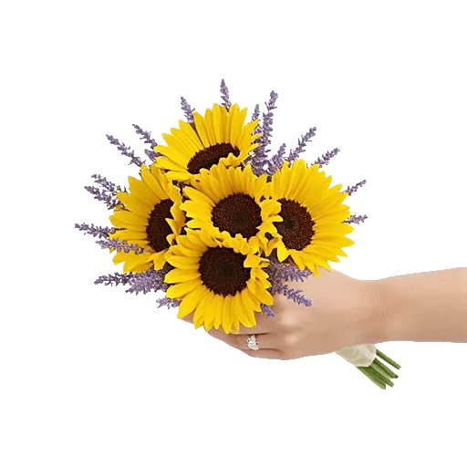 Twinkling Sunflower Dance