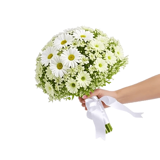 Ivory Garden Grace