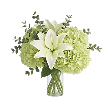 Graceful Lily Display